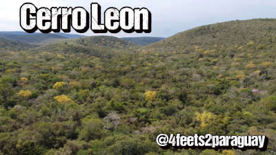 Cerro Leon Berg Chaco Paraguay