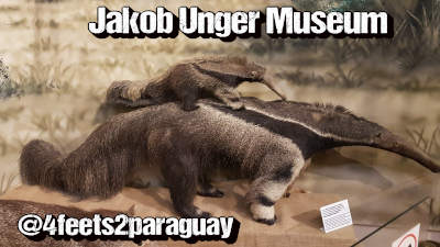 Jakob Unger Museum Filadelfia Chaco Paraguay